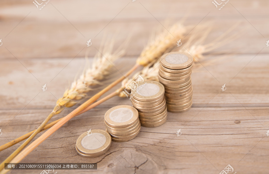 成熟的小麦麦穗和一排欧元硬币
