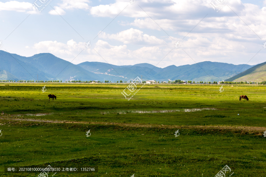 香格里拉纳帕海依拉草原