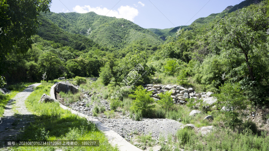 九龙山