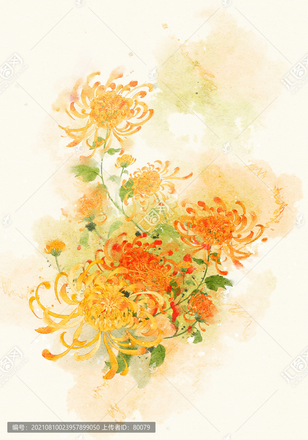菊花