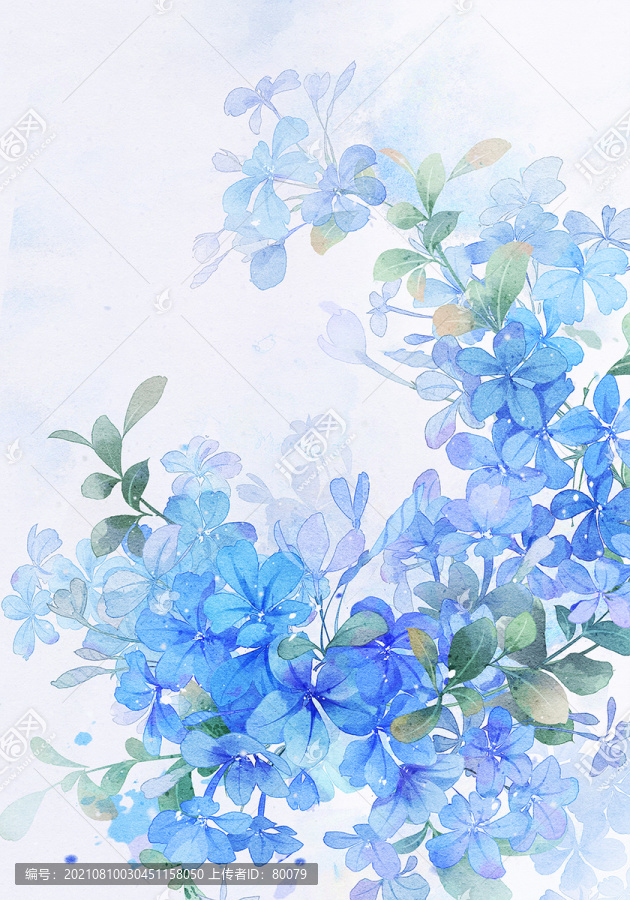 藍(lán)雪花