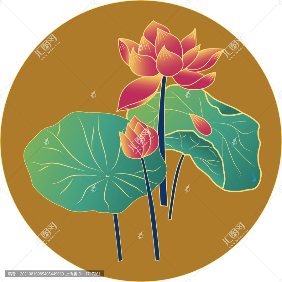 荷花
