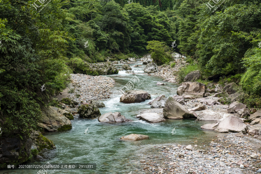 清澈山泉河水