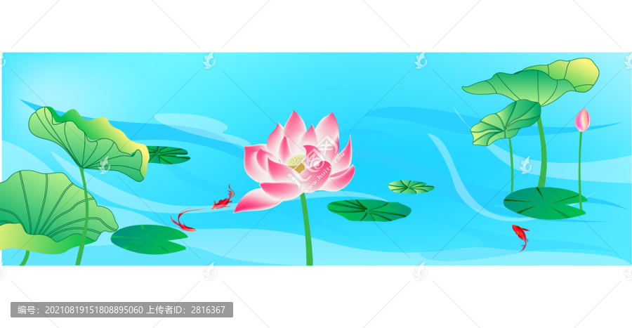 荷花荷塘