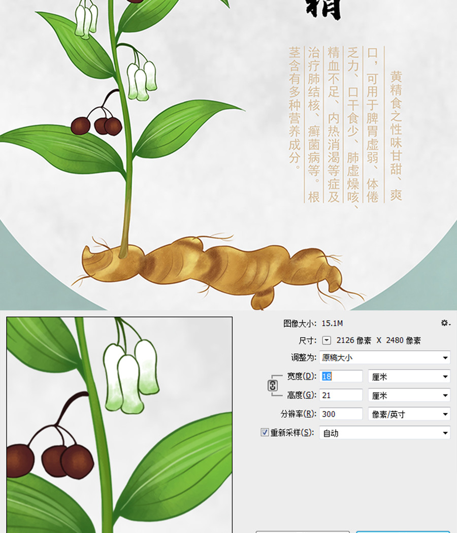 黃精