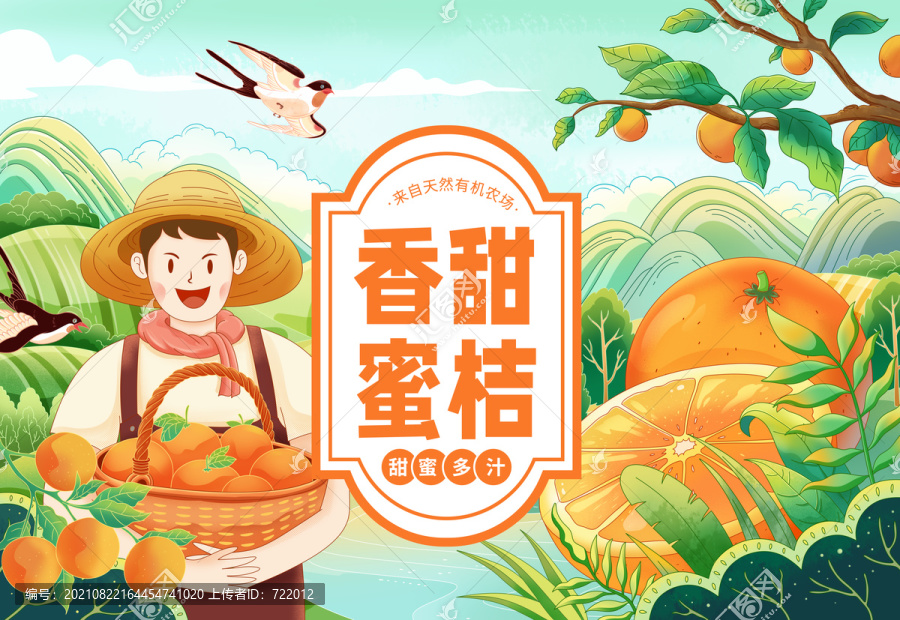橘子包裝插畫