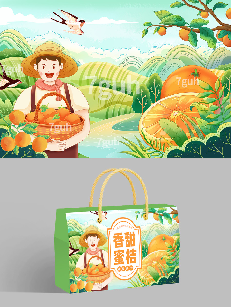 橘子包裝插畫