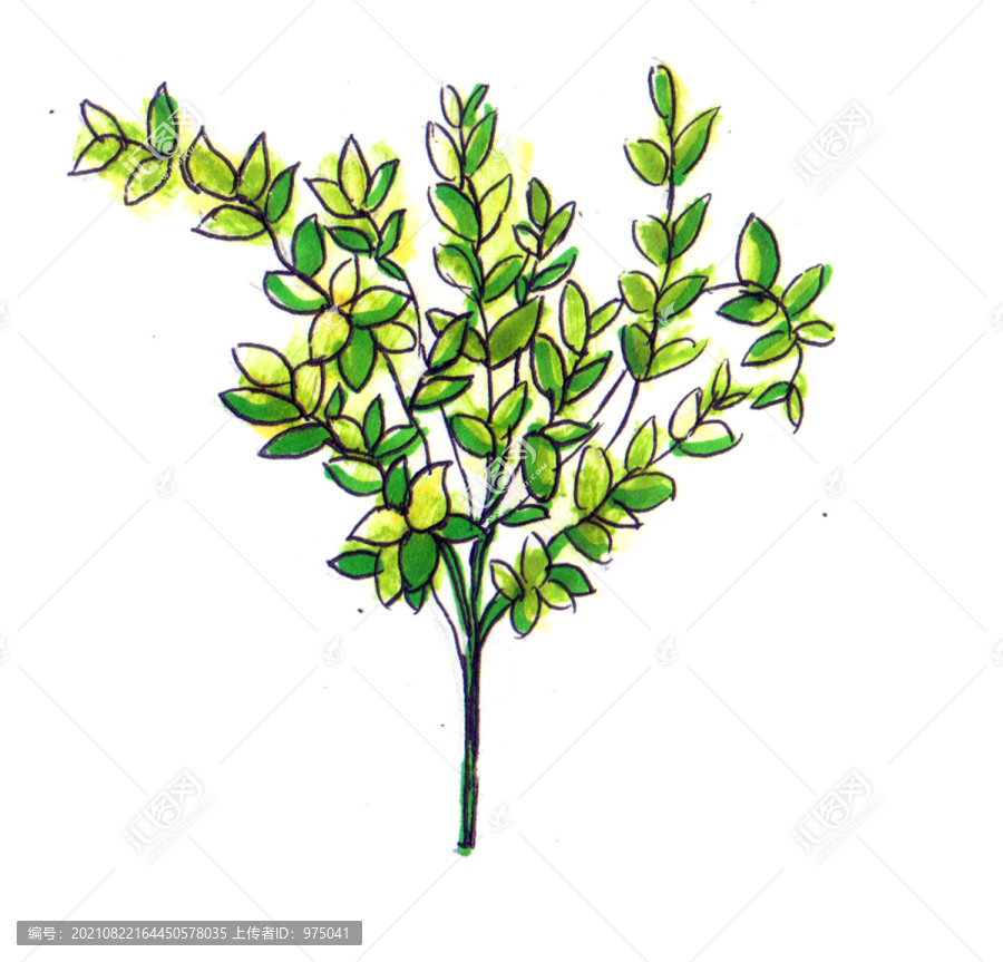 高清馬克筆婚禮花藝