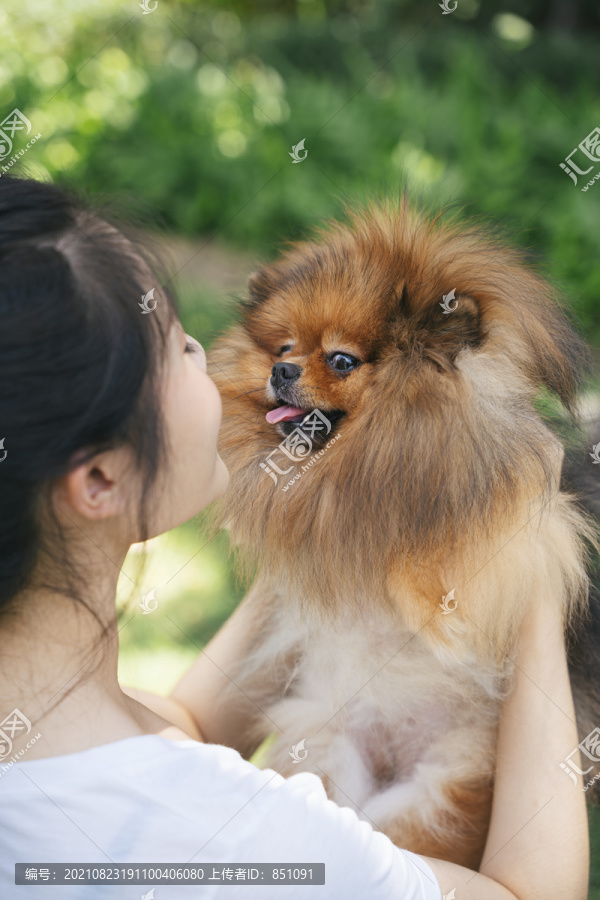 一名亚洲女主人正在亲吻波美拉尼亚斯皮茨犬。