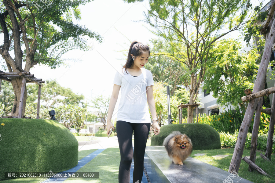 美麗的亞洲女人在公園遛狗。波美拉尼亞斯皮茨型。