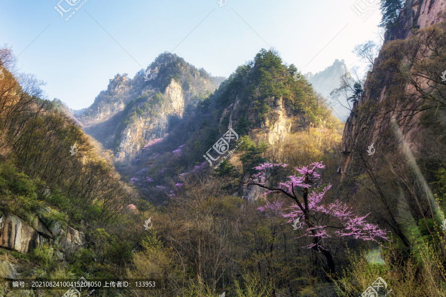 伏牛山老界岭