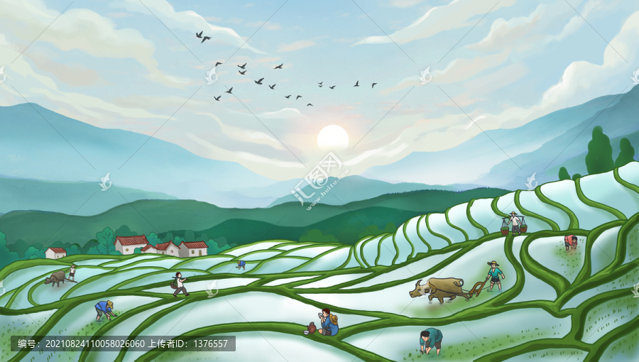 梯田播種插秧