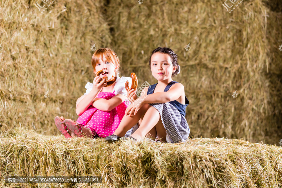 坐在干草棚上的孩童