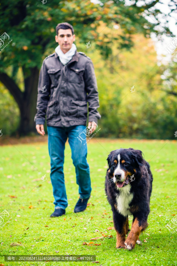 一个男人带着他的狗在秋天公园散步