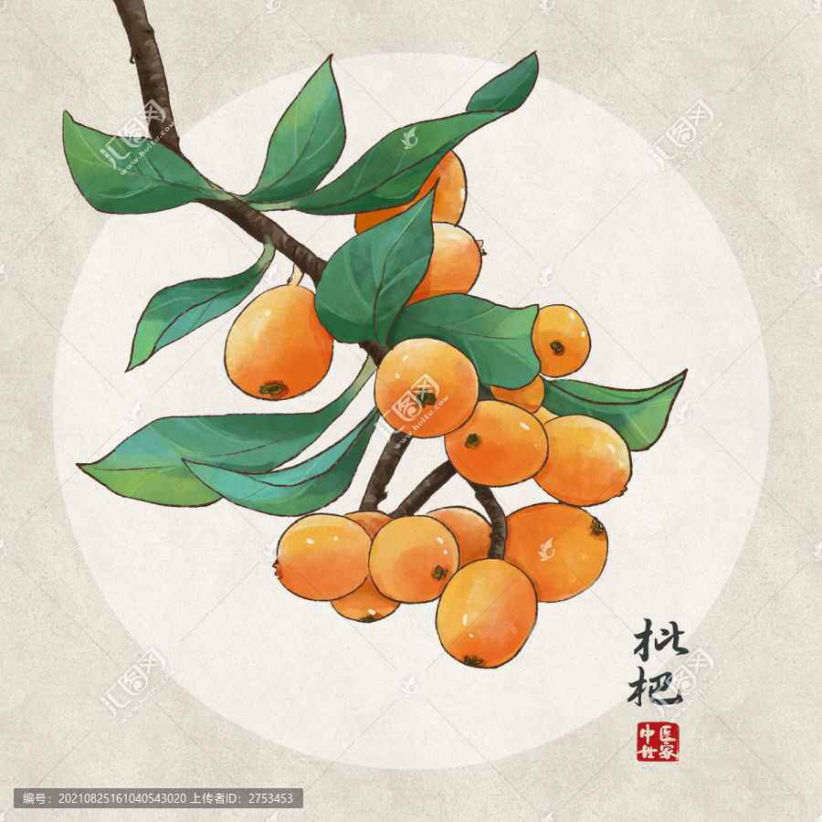 手繪枇杷
