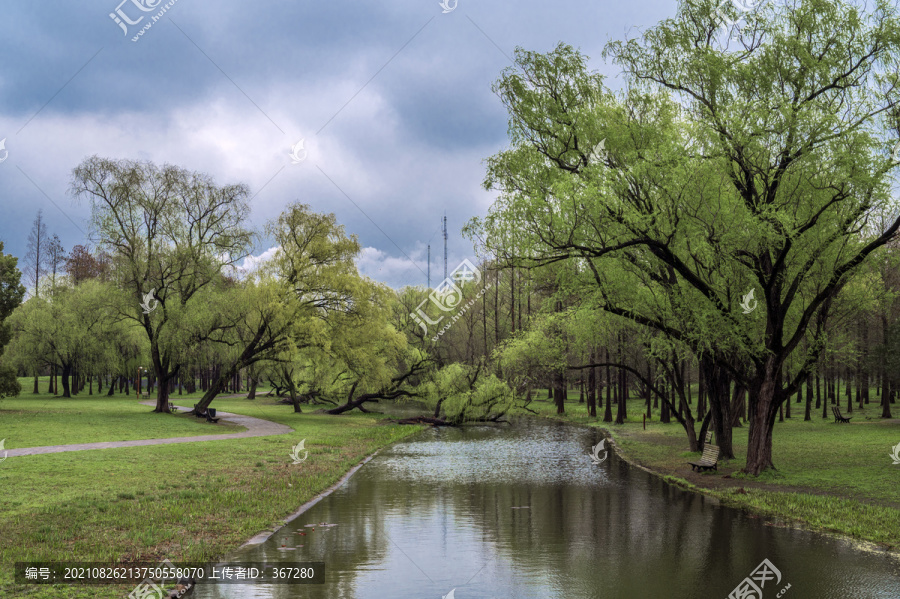 森林公园的自然美景