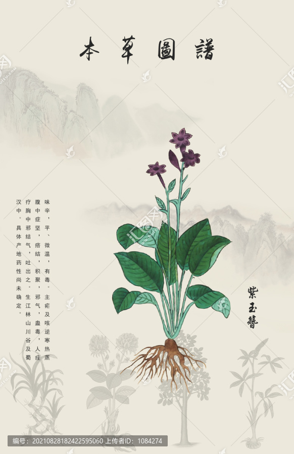 紫玉簪