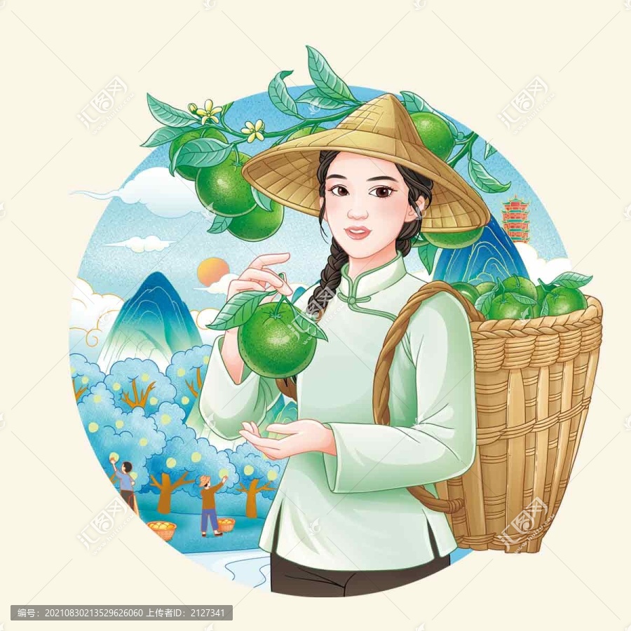 小青柑插畫