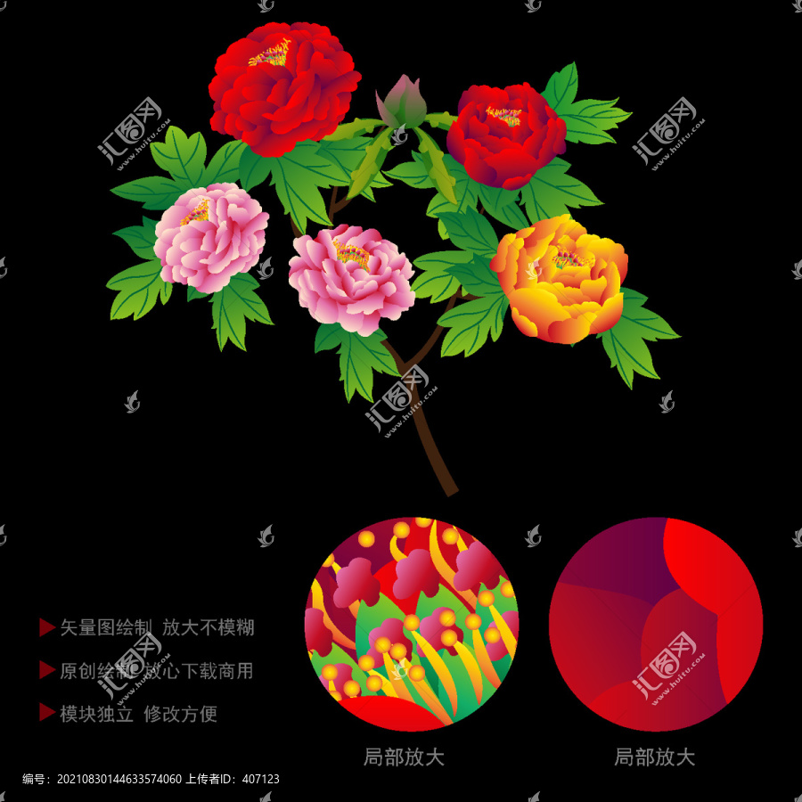 牡丹花