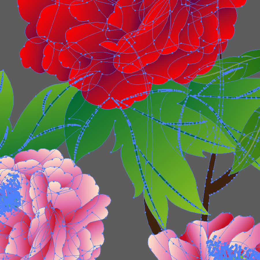 牡丹花