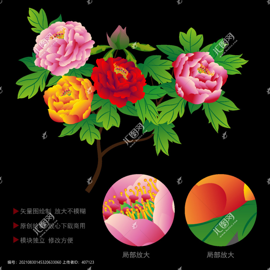 牡丹花