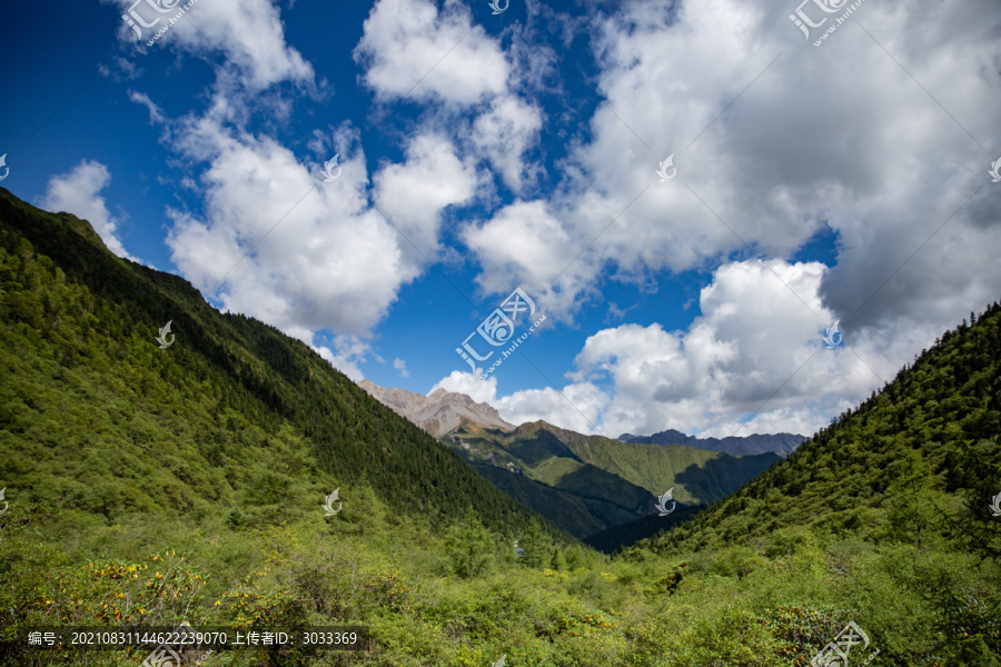 自然风景