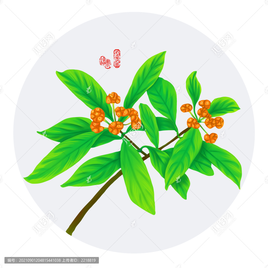 手繪羊角藤