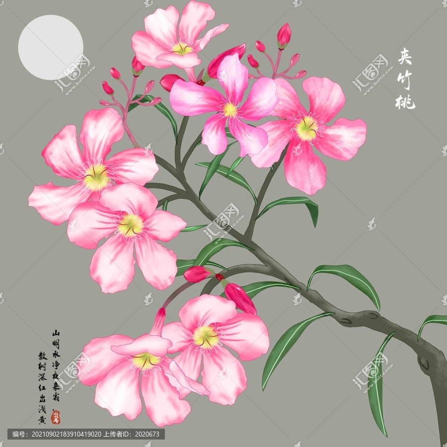夾竹桃