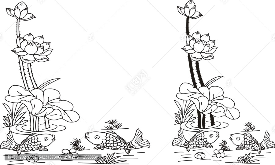 荷花魚