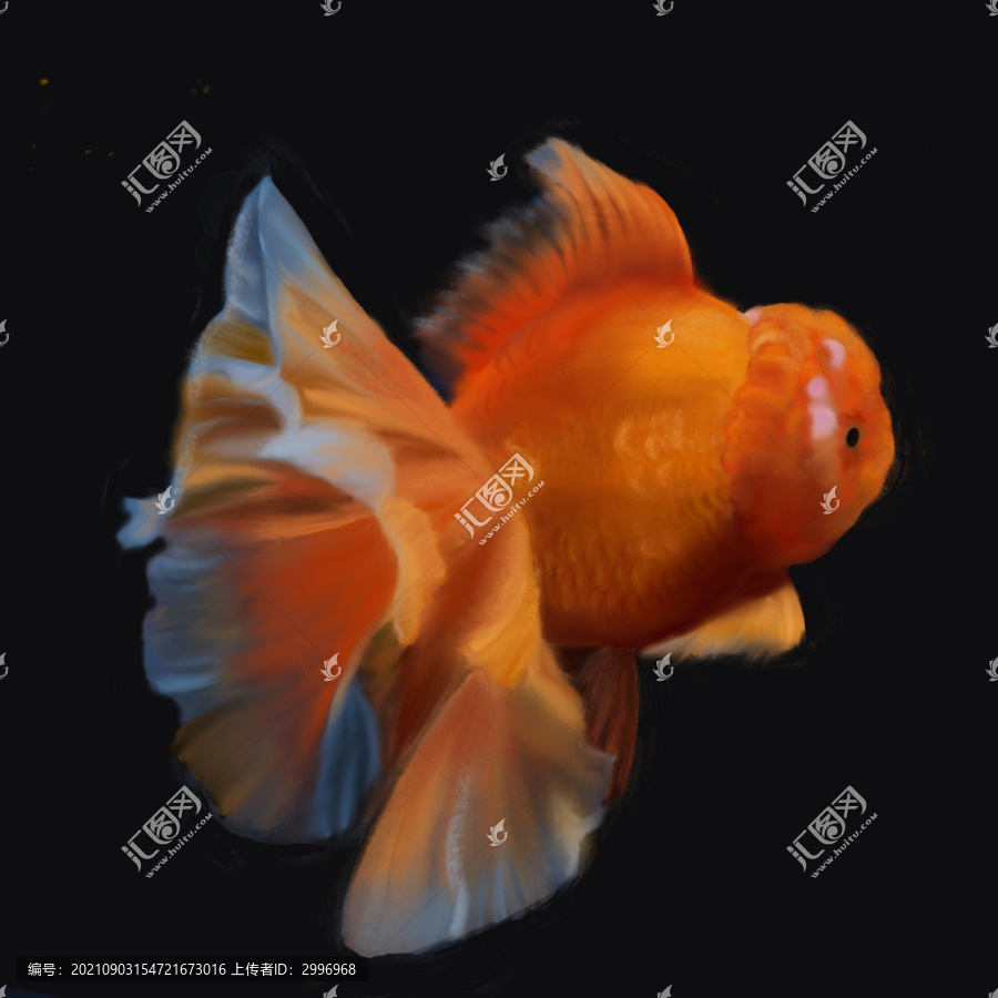 金魚手繪