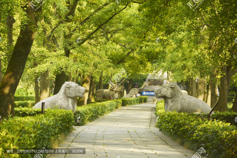 南京明孝陵石象路