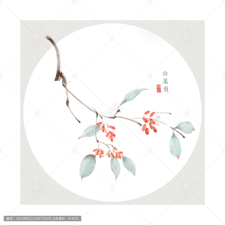 山茱萸