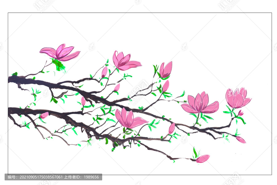 廣玉蘭水墨畫(huà)