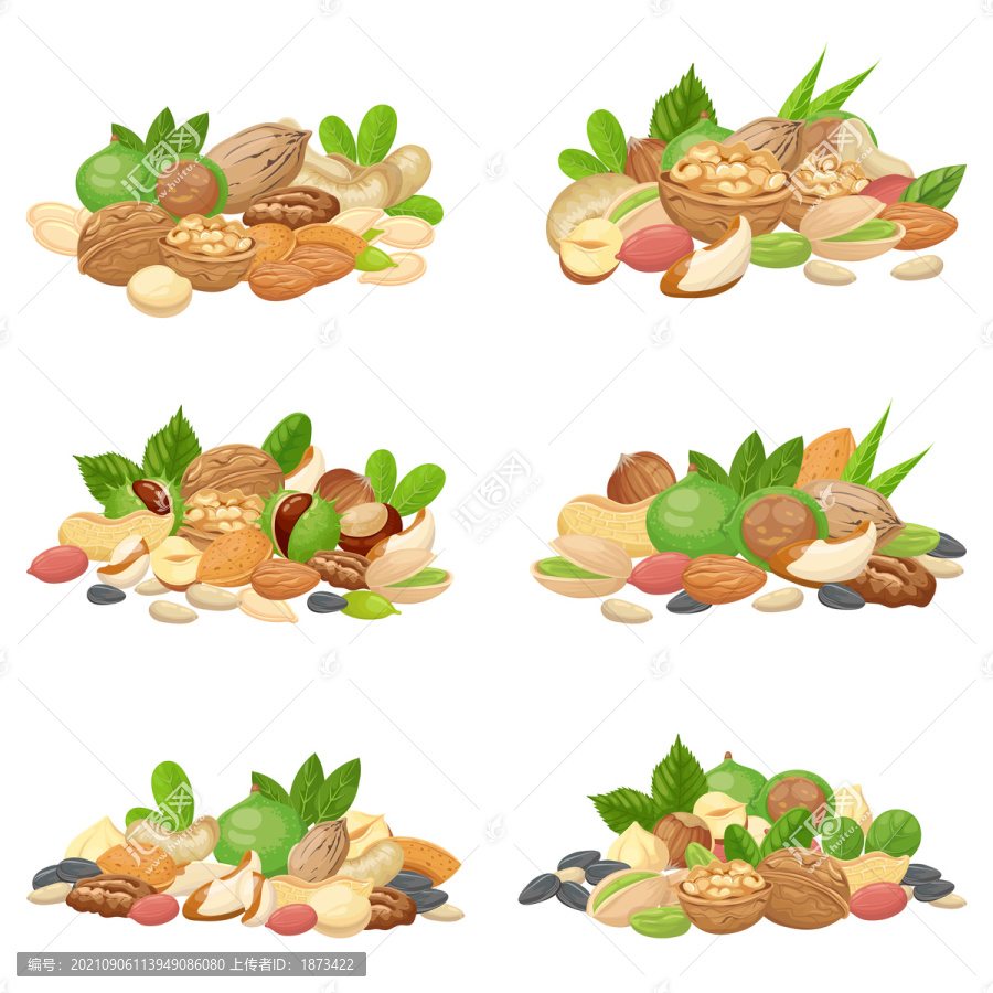 各種類堅(jiān)果插圖集合