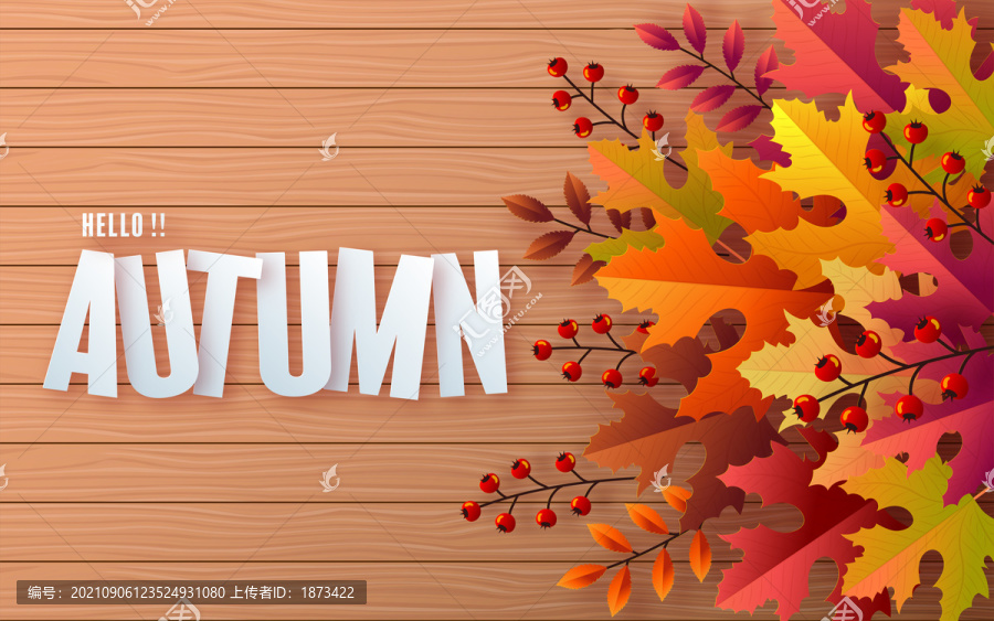 活潑繽紛楓葉色調(diào)秋季Autum字體設(shè)計封面