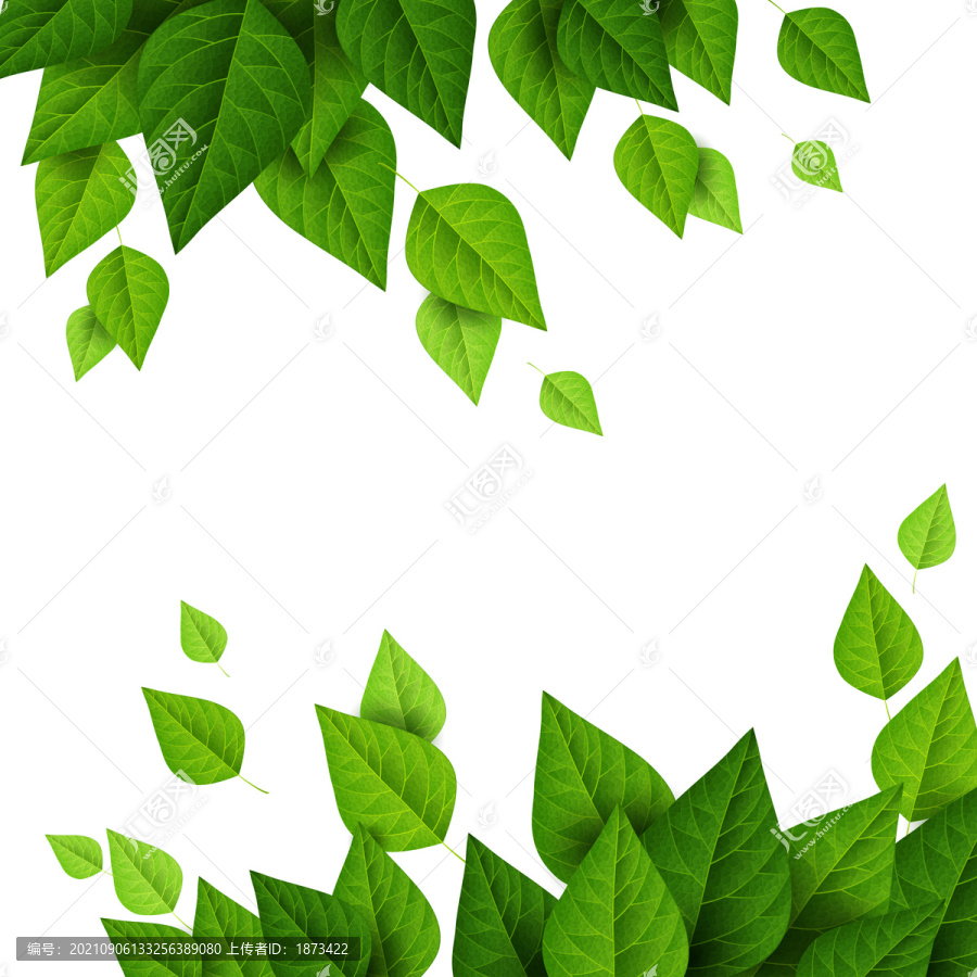 春天层叠排列的绿叶插图