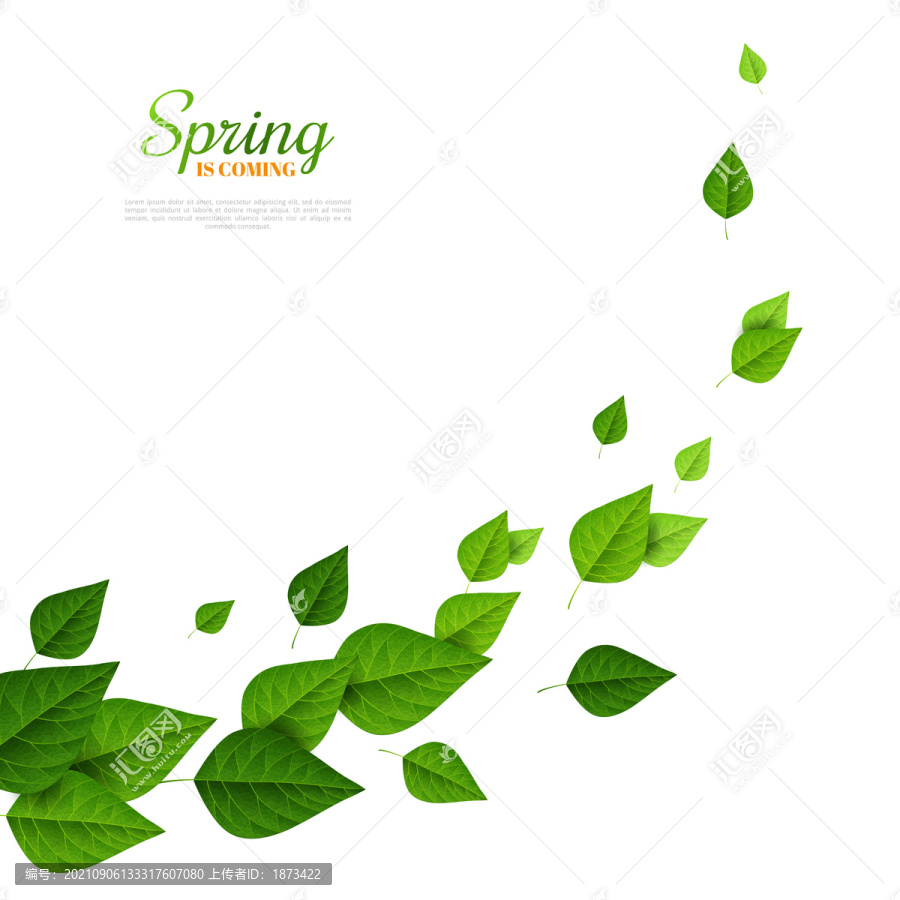 迎接春天绿叶层叠排列插图