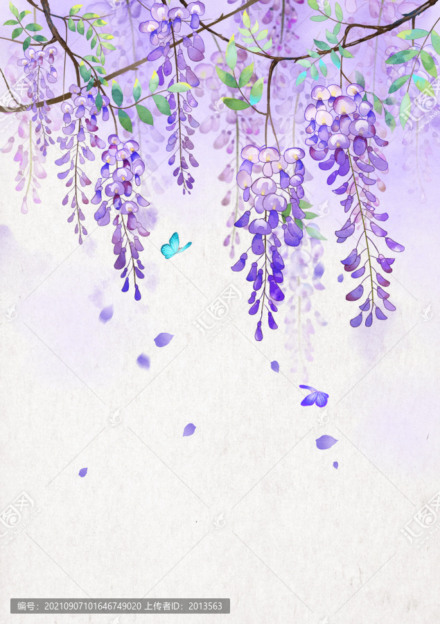 古风背景紫藤