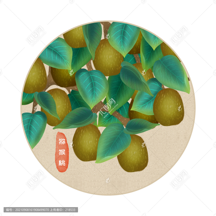 手繪高清獼猴桃水果包裝插畫(huà)