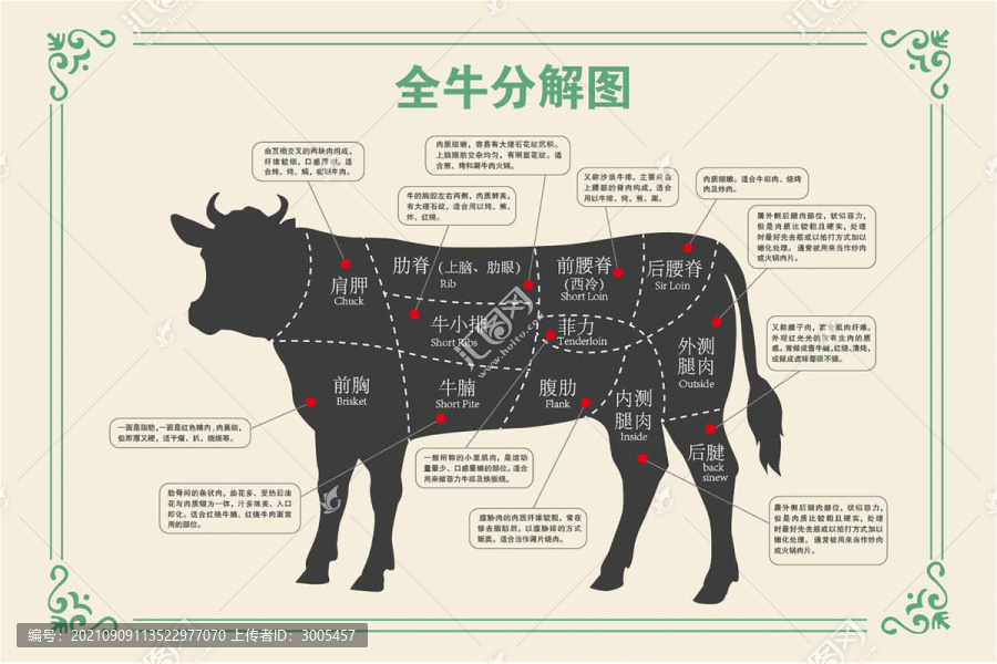牛全解