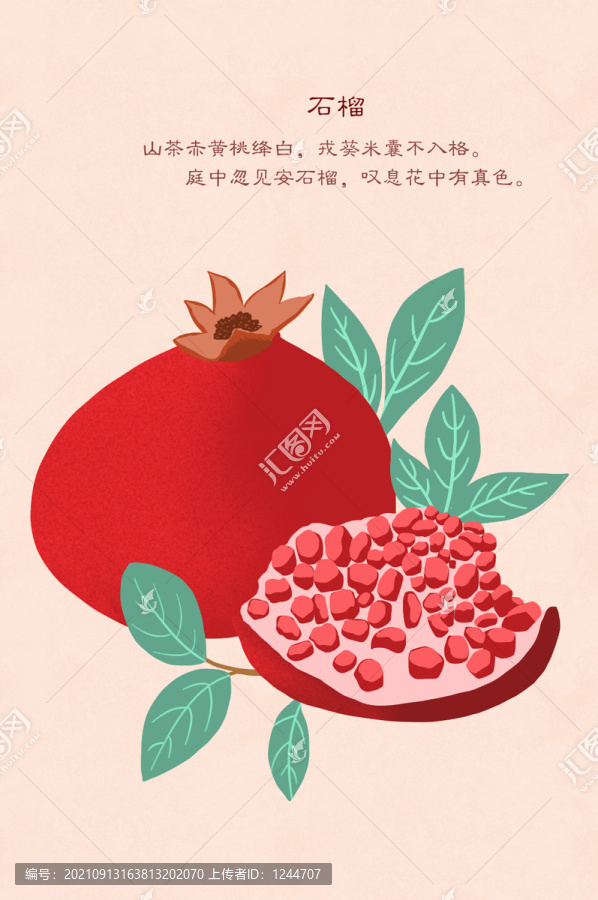 石榴手繪素材