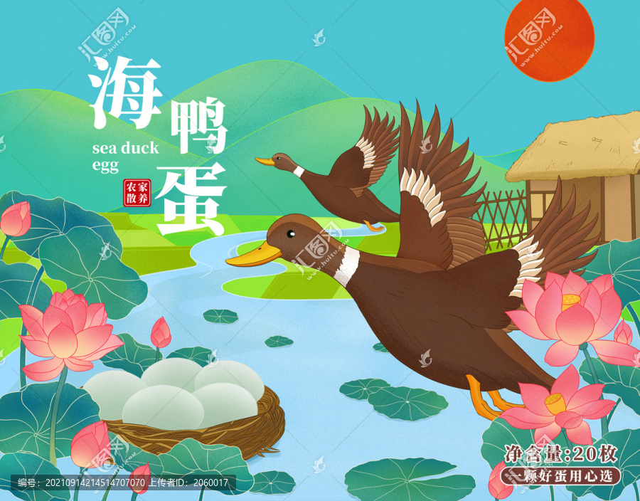 海鴨插畫蛋包裝