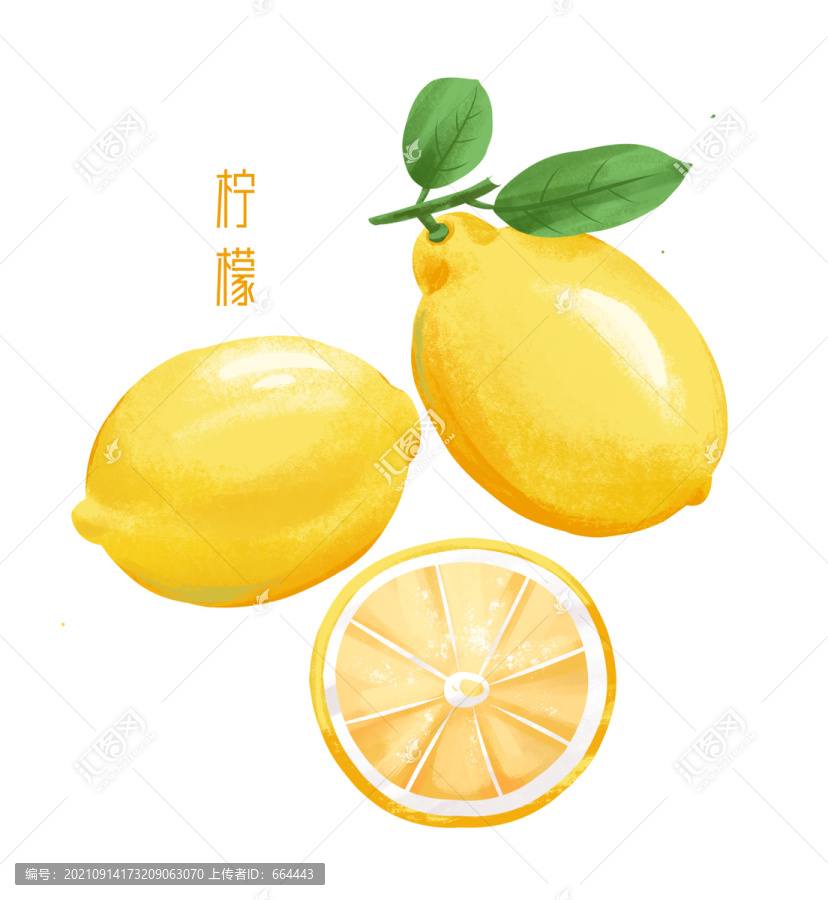檸檬插畫