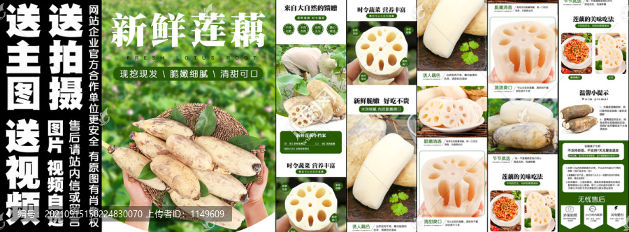 新鮮蓮藕詳情