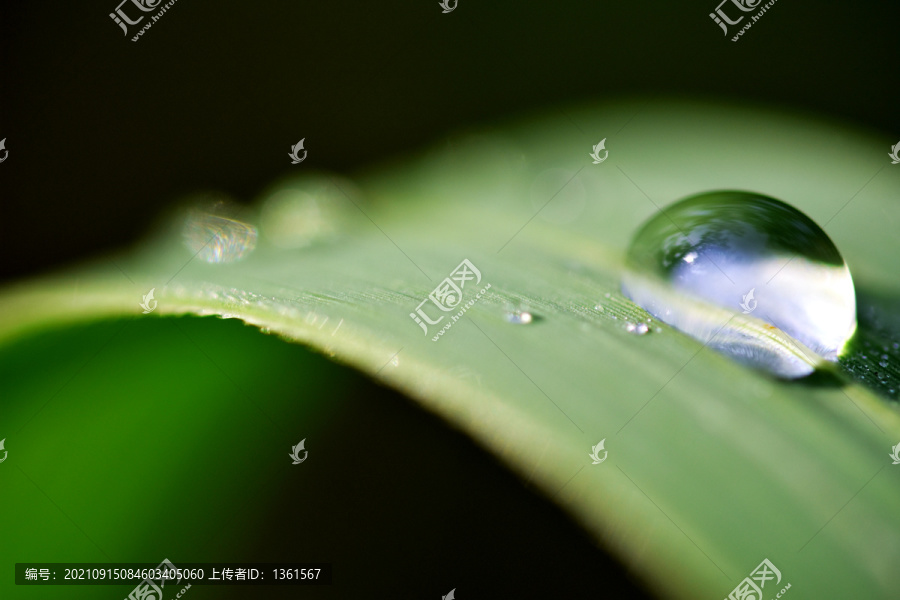 雨水