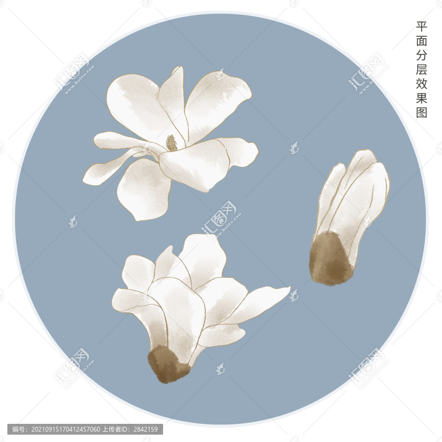 手繪玉蘭花