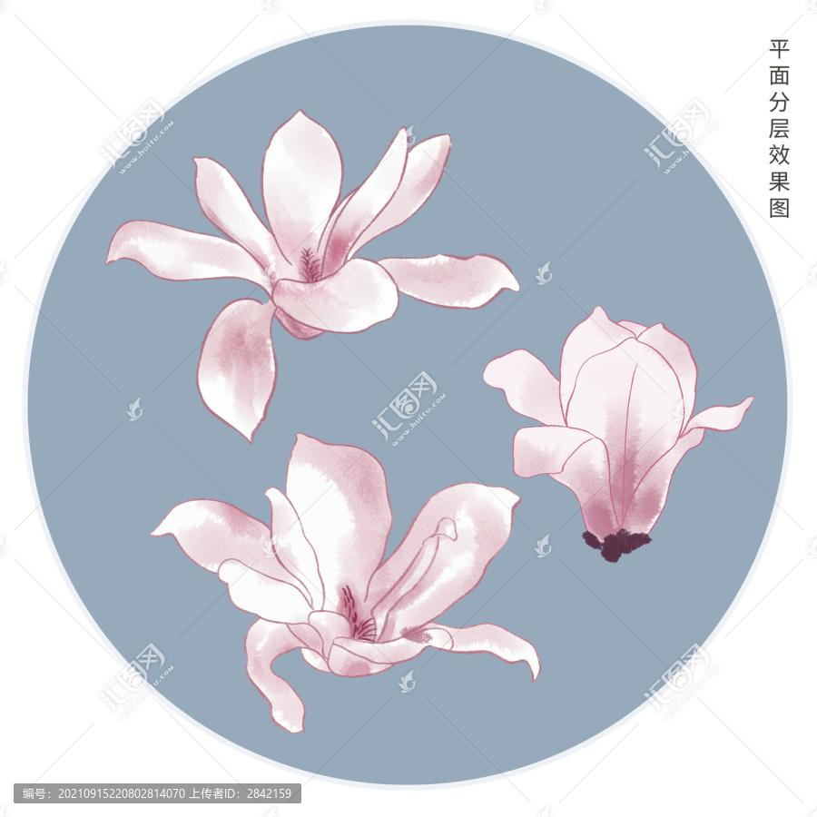 手繪玉蘭花