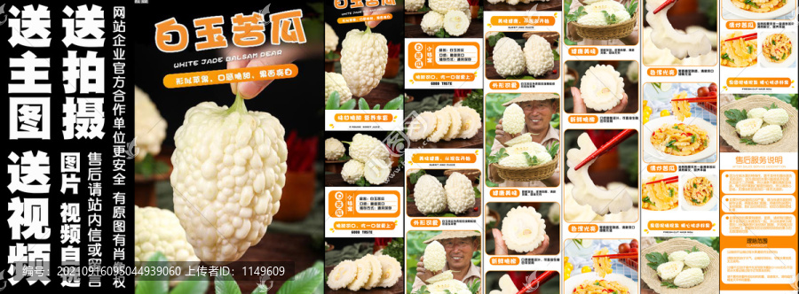 白玉苦瓜詳情