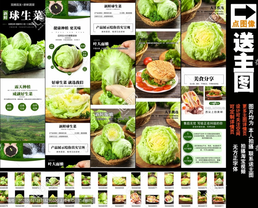 新鮮球生菜詳情