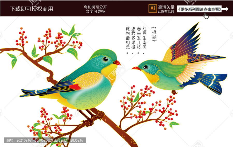 相思鳥